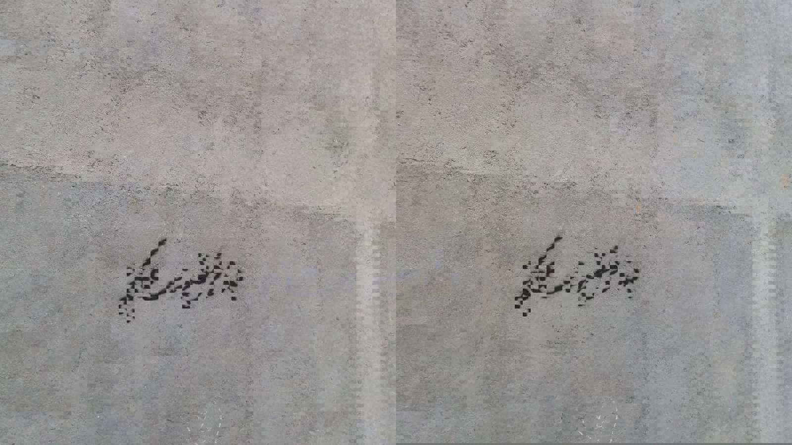 "زندانی سیاسی در اعتصاب است"