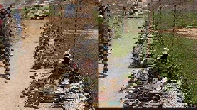 هلاکت ۲۳ تروریست عضو پ‌ک‌ک در درگیری با نیروهای امنیتی ترکیه