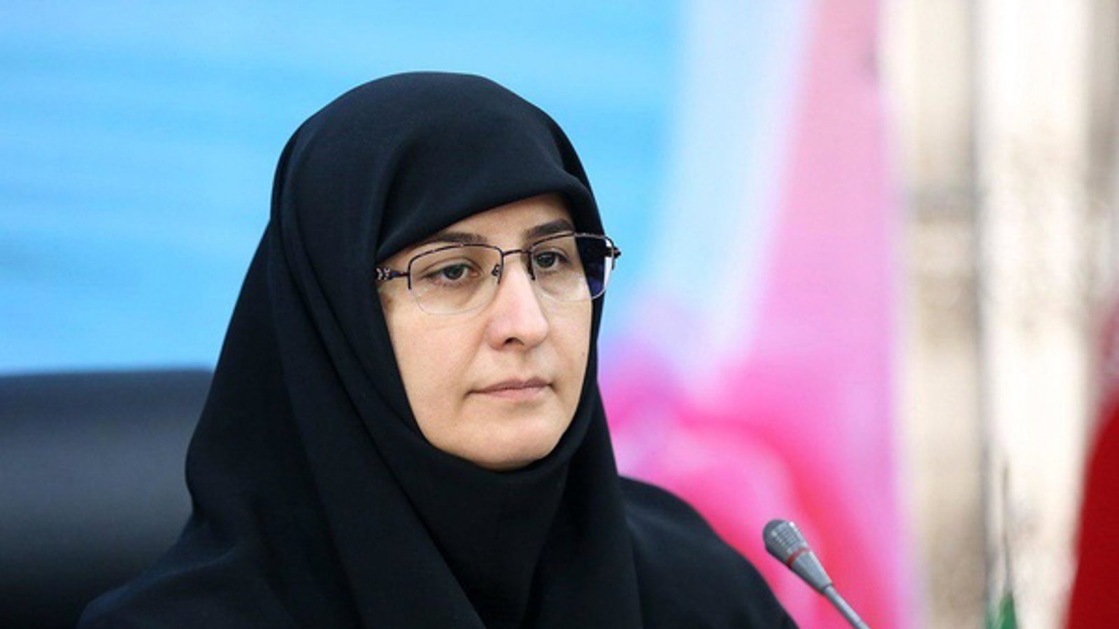 نقد سخنان رضوان حکیم زاده و طرح بسندگی زبان فارسی