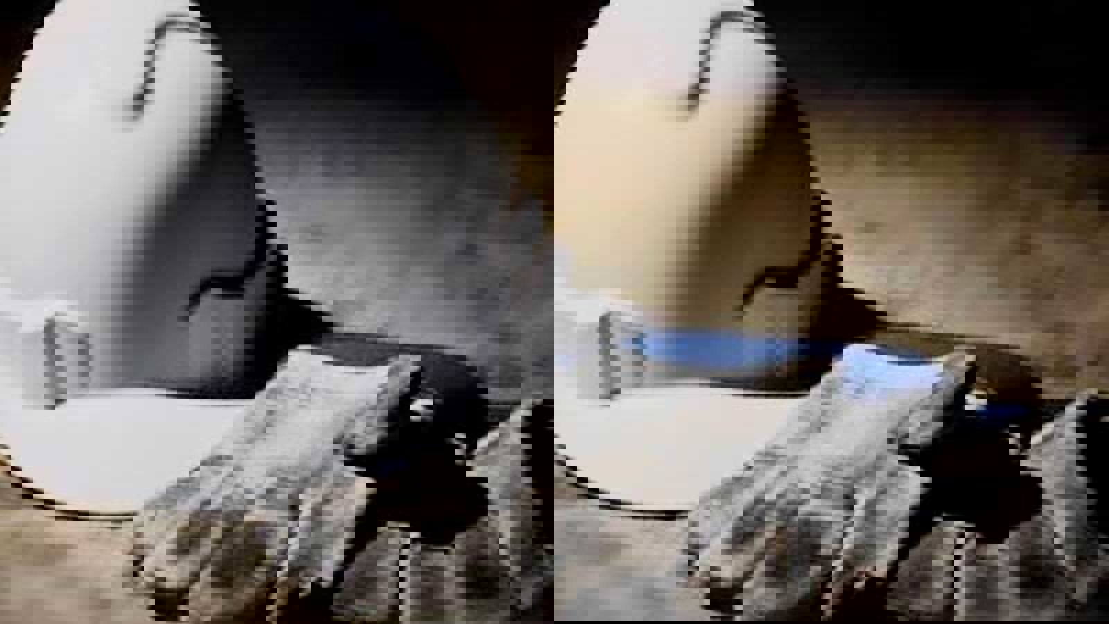 تلفات دو ماهه حوادث کار در آزربایجان‌غربی ۱۸۴ نفر شد