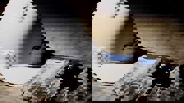 تلفات دو ماهه حوادث کار در آزربایجان‌غربی ۱۸۴ نفر شد