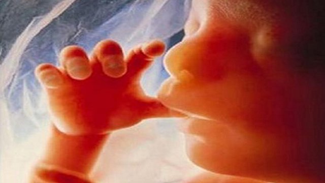 احمد علیرضابیگی: افزایش تولد نوزادان ناقص‌الخلقه در تبریز به دلیل آلاینده‌ها