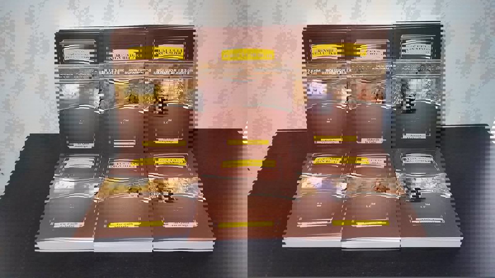 رمان 'سورگون اومودلار' انتشار یافت