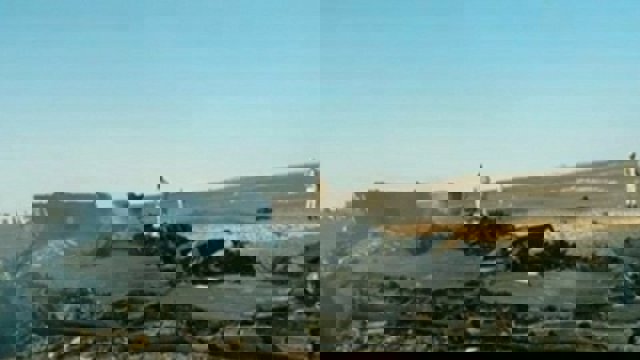 داعش سقوط هواپیمای مسافربری روسیه در مصر را برعهده گرفت