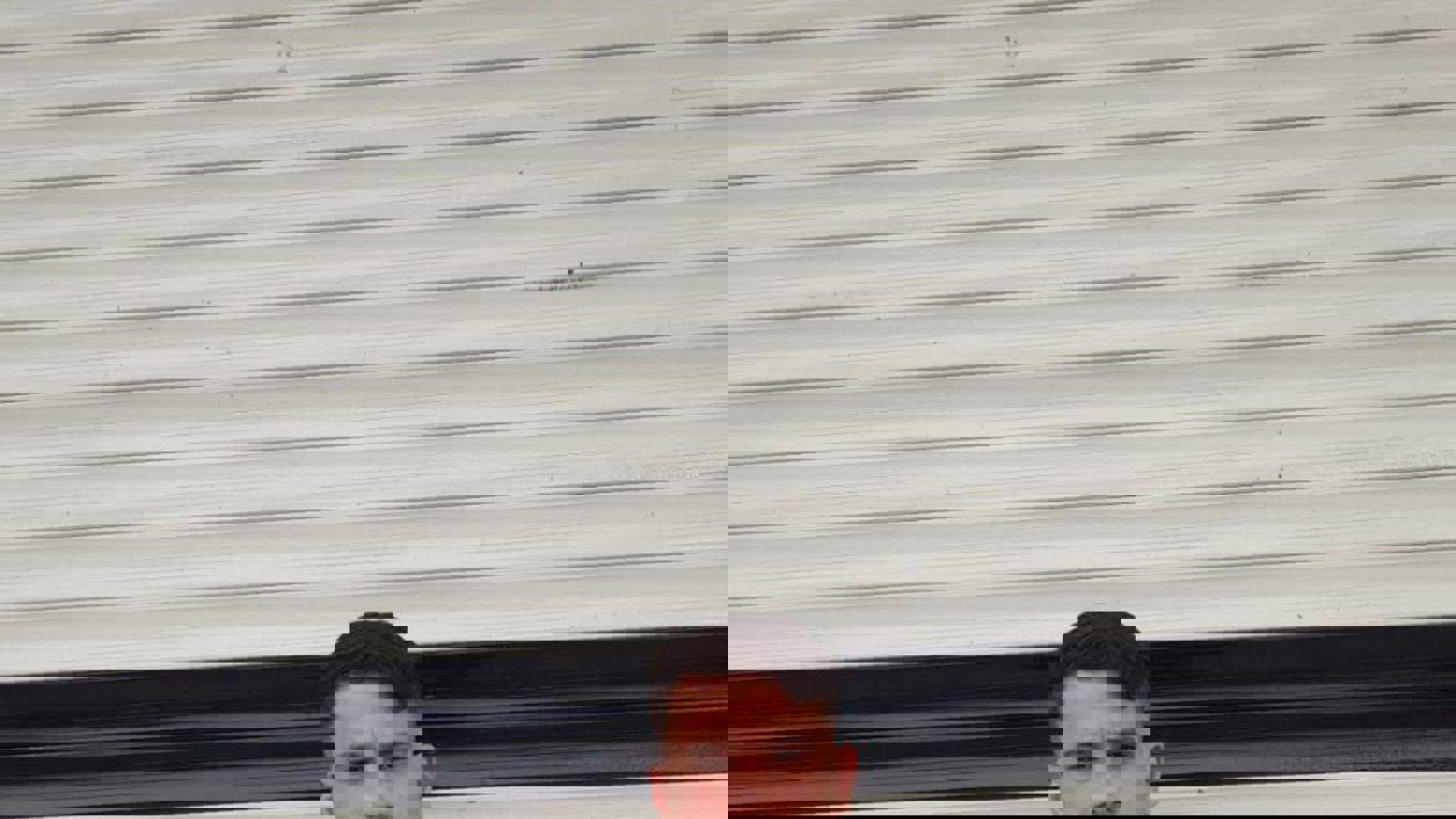 جلسه‌ی بازپرسی محمدرضا خلیلی برگزار شد