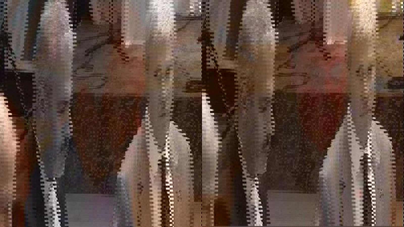 سفیر ایران و کنسول آمریکا در استانبول کنار هم سر میز افطار