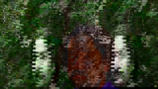 نیروهای امنیتی حساب X ابراهیم رشیدی را تحت کنترل گرفتند