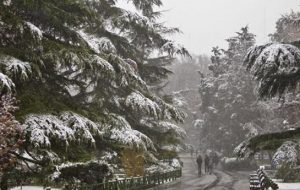 بارش برف، مدارس برخی از شهرهای آذربایجان شرقی را تعطیل کرد