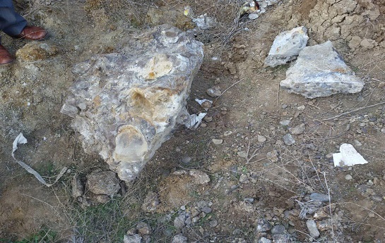 کشف سنگواره یک جانور عظیم در اردبیل آزربایجان کشف سنگواره یک جانور عظیم در اردبیل آزربایجان