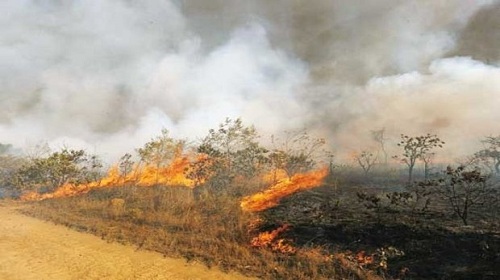آتش‌زدن عمدی مراتع قره‌باغ اشغالی از سوی دولت ارمنستان