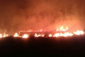 ۲۵ هزار هکتار از مراتع چالدران در آتش سوخت