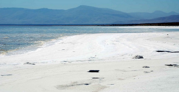 آیا خشک شدن دریاچه اورمیه باعث افزایش سرطان در آزربایجان شده است؟