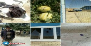 تخریب محصولات کشاورزان دریکی از روستاهای کلیبر