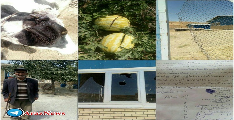 تخریب محصولات کشاورزان دریکی از روستاهای کلیبر تخریب محصولات کشاورزان دریکی از روستاهای کلیبر