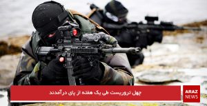چهل تروریست طی یک هفته از پای درآمدند