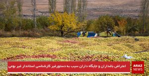 اعتراض باغداران و جایگاه داران سیب به دستور غیر کارشناسی استاندار غیربومی