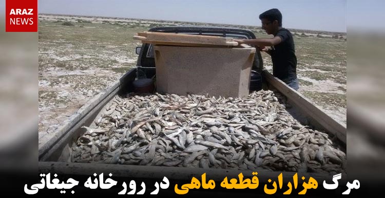 مرگ هزاران قطعه ماهی در رورخانه جیغاتی مرگ هزاران قطعه ماهی در رورخانه جیغاتی