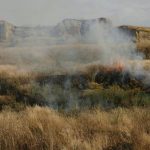 ۵۰۰ هکتار از اراضی طارم زنجان در آتش‌سوزی خاکستر شد